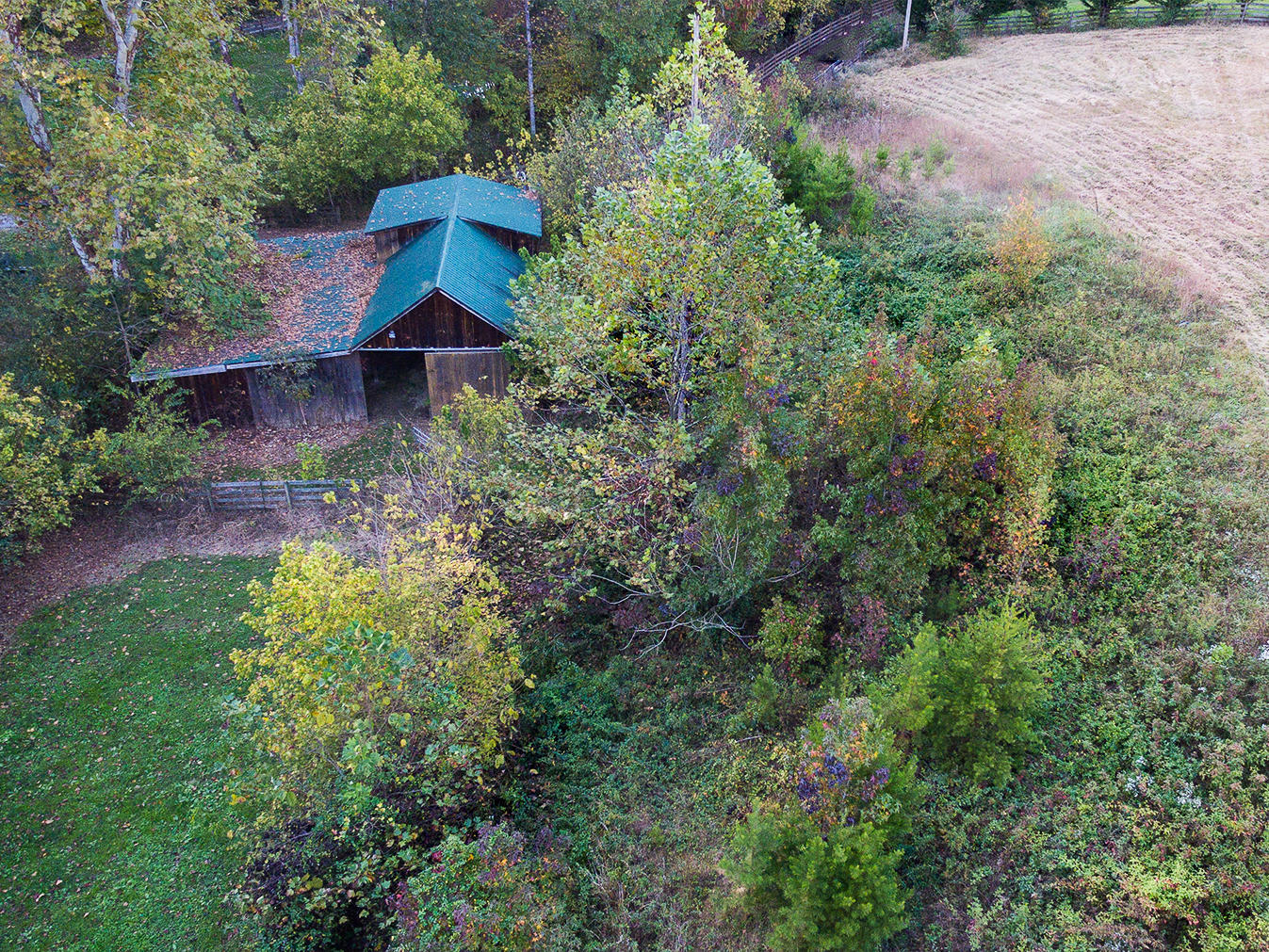 3000 Bogard Road Cosby, TN 37722 - Photo 97 of 112 D-Neas-Bogard-Road-Aerial_0021