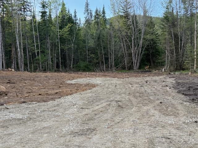 Lot 56 Faraway Road Dalton, NH 03598 - Photo 2 of 7