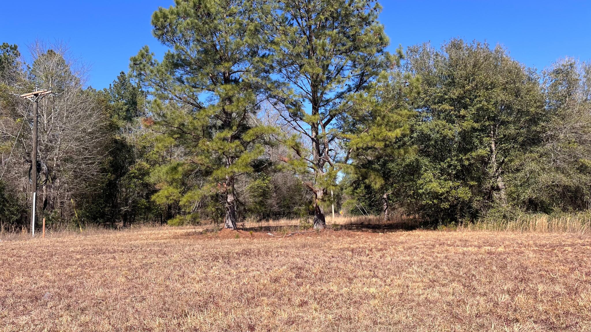 0 Veterans Road Salley, SC 29137 - Photo 8 of 23