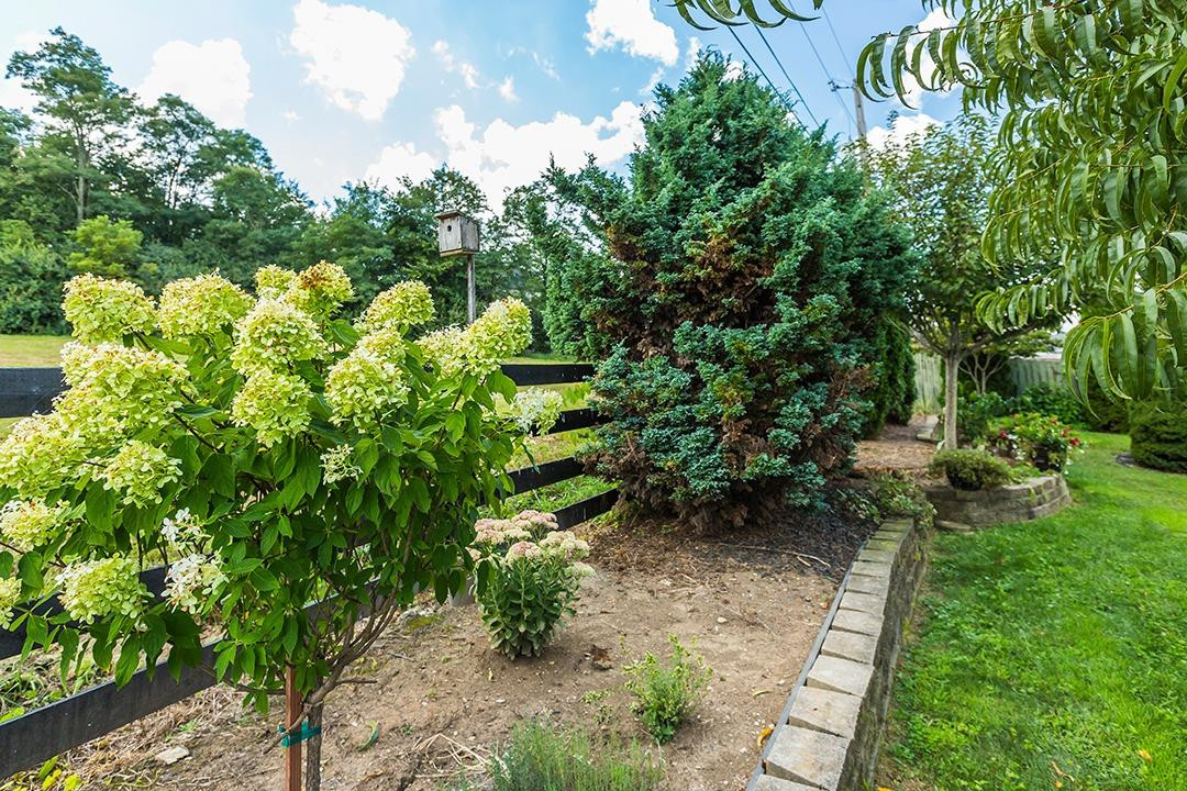 609 Williams Road Nicholasville, KY 40356 - Photo 23 of 25 Photo 23