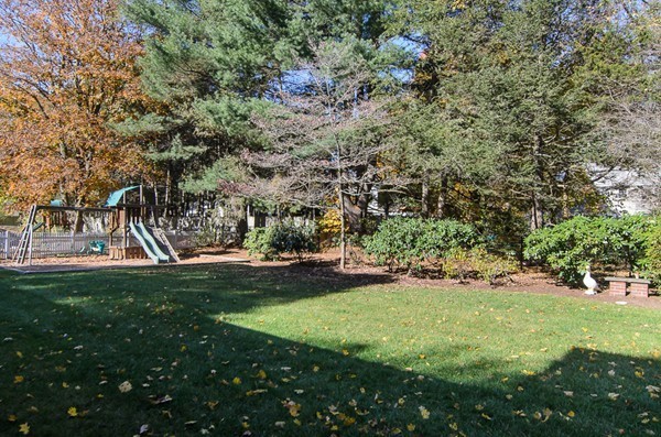 23 Shirley Road Wellesley, MA 02482 - Photo 22 of 25