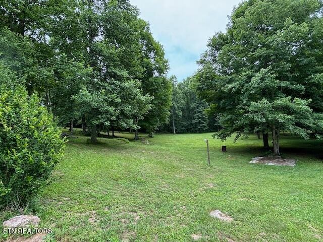 331 Briley Road Spring City, TN 37381 - Photo 7 of 32