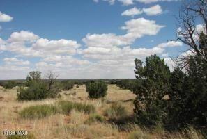 19 T15n R16e Heber, AZ 85928 - Photo 2 of 2 2