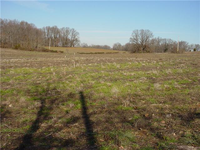 4 Highway 161 Springfield, TN 37172 - Photo 1 of 3