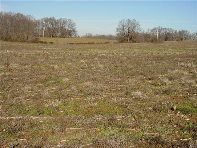 4 Highway 161 Springfield, TN 37172 - Photo 2 of 3