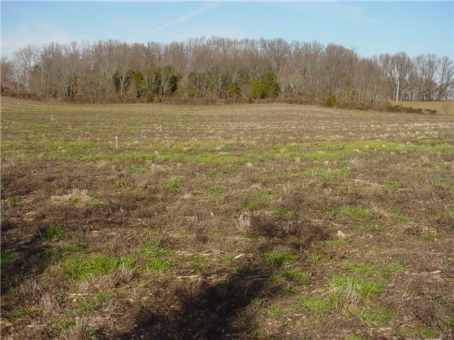 4 Highway 161 Springfield, TN 37172 - Photo 3 of 3