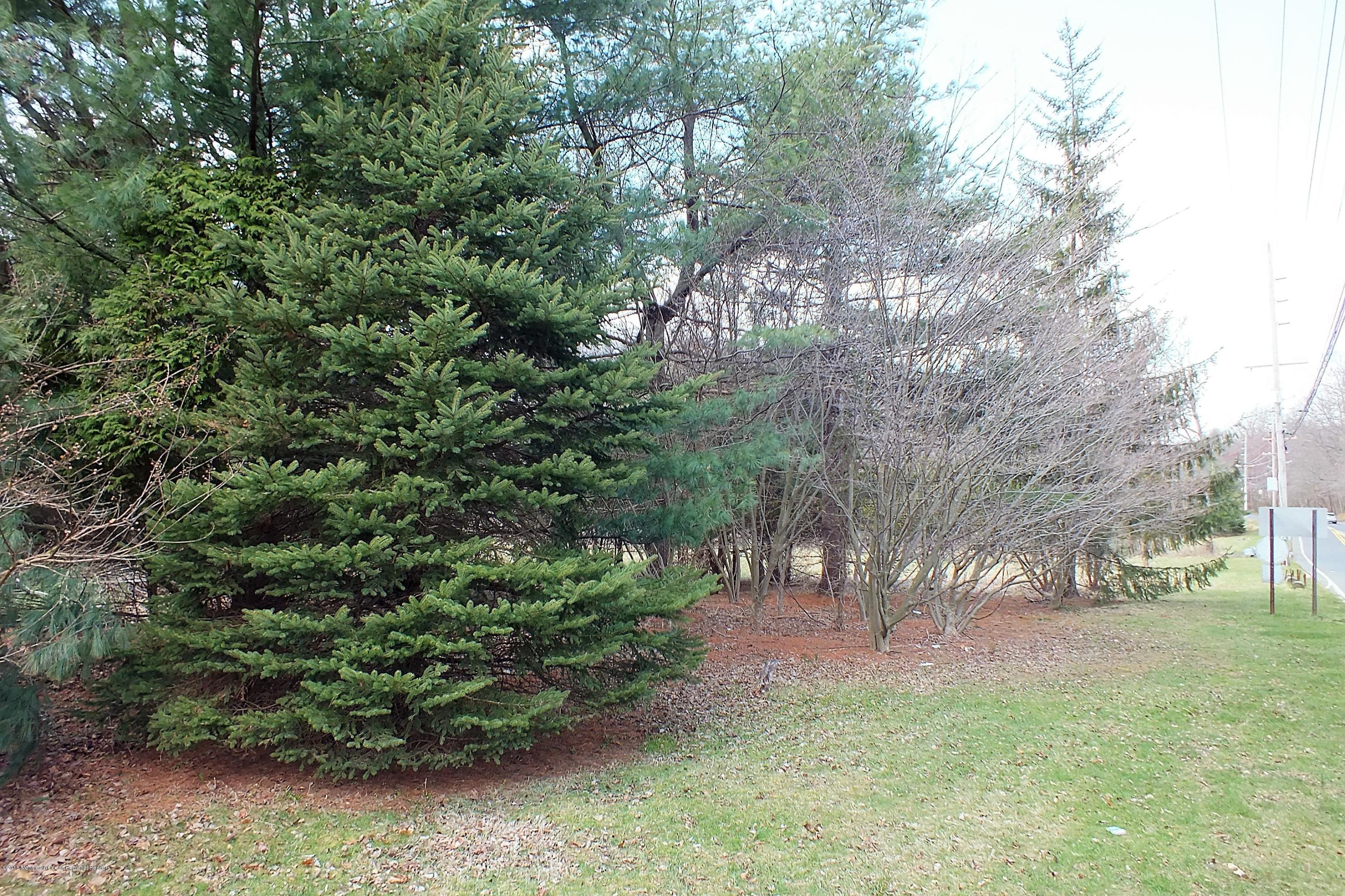 127 Crawfords Corner Road Holmdel, NJ 07733 - Photo 7 of 12 a view of outdoor space and yard