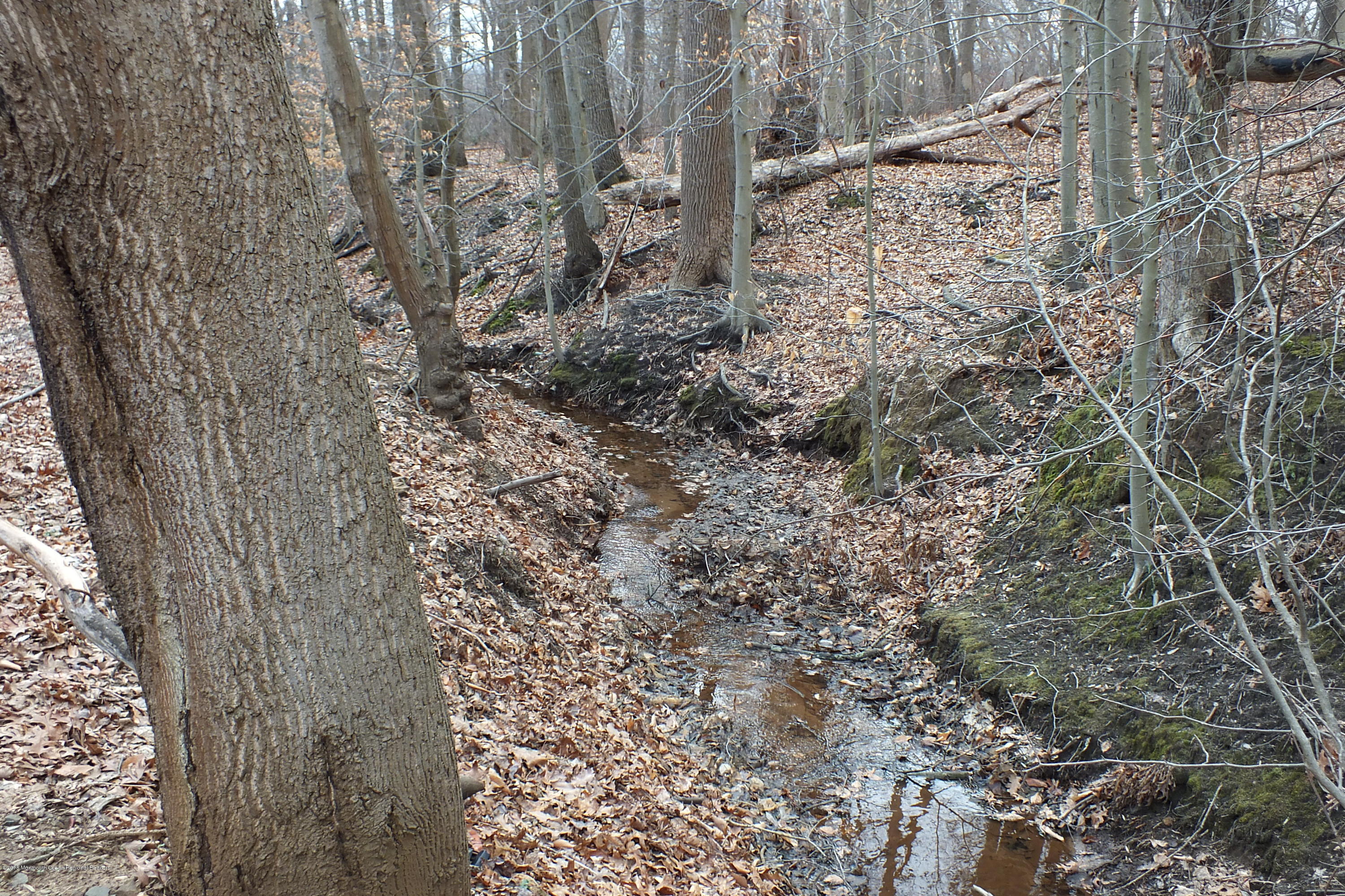 127 Crawfords Corner Road Holmdel, NJ 07733 - Photo 8 of 12 a view of a yard with trees