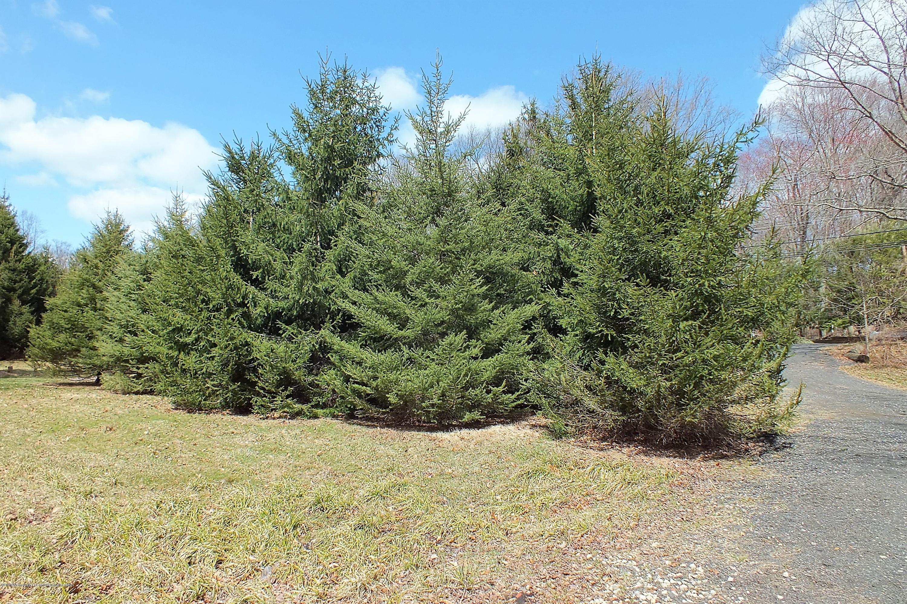 127 Crawfords Corner Road Holmdel, NJ 07733 - Photo 9 of 12 a view of a yard with a tree