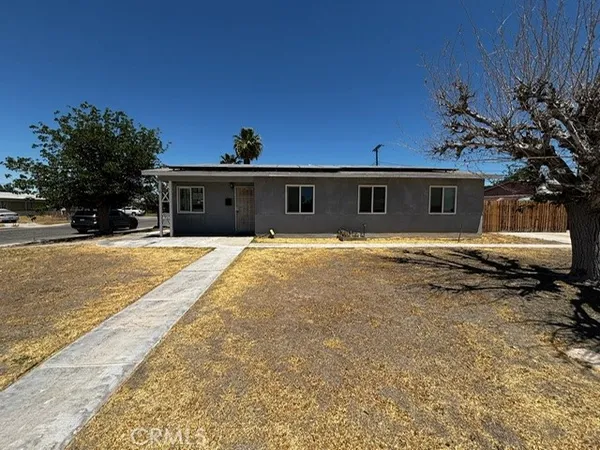 a view of the house with backyard and tree