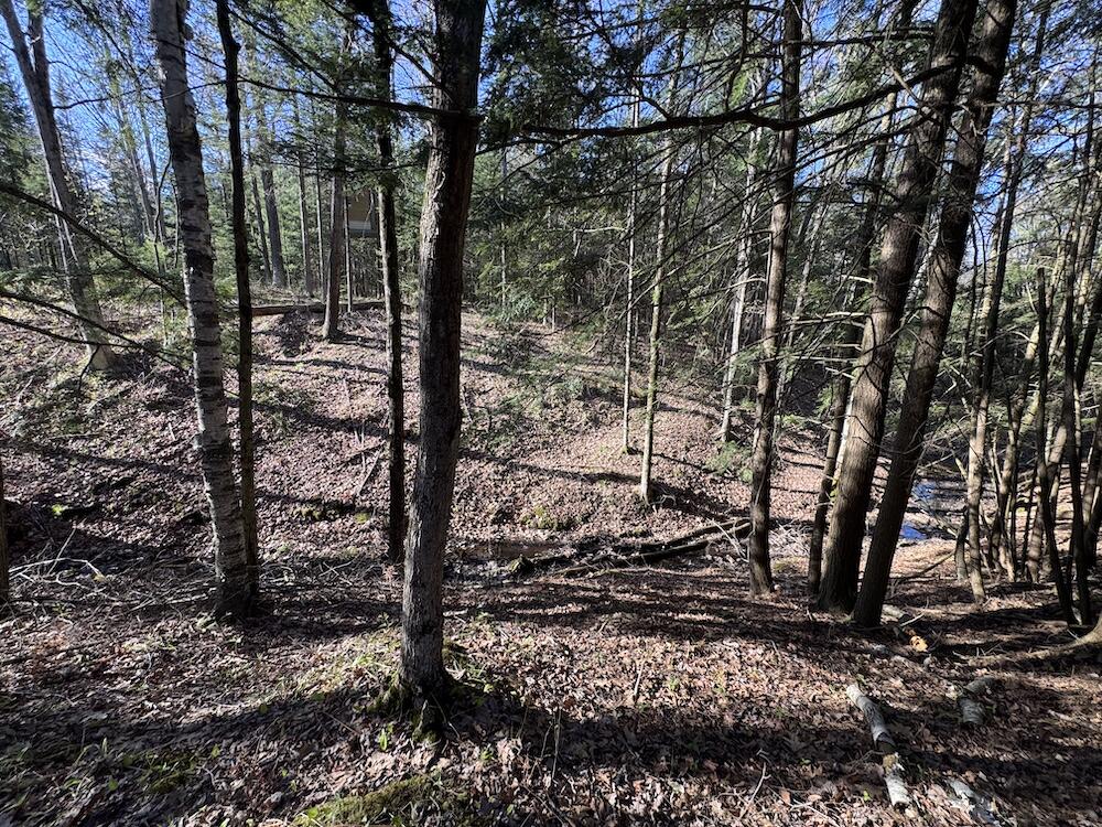 Lot 9 V/l Wildwood Road Alger, MI 48610 - Photo 12 of 40 IMG_2761