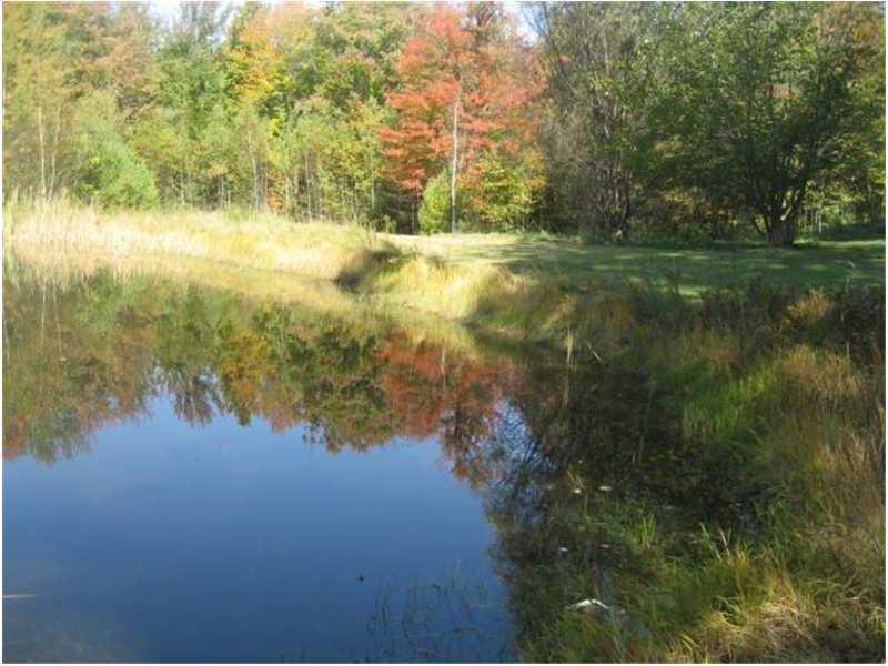 276 Hooper Road Shapleigh, ME 04076 - Photo 17 of 21 Yard/Garden. Man made pond