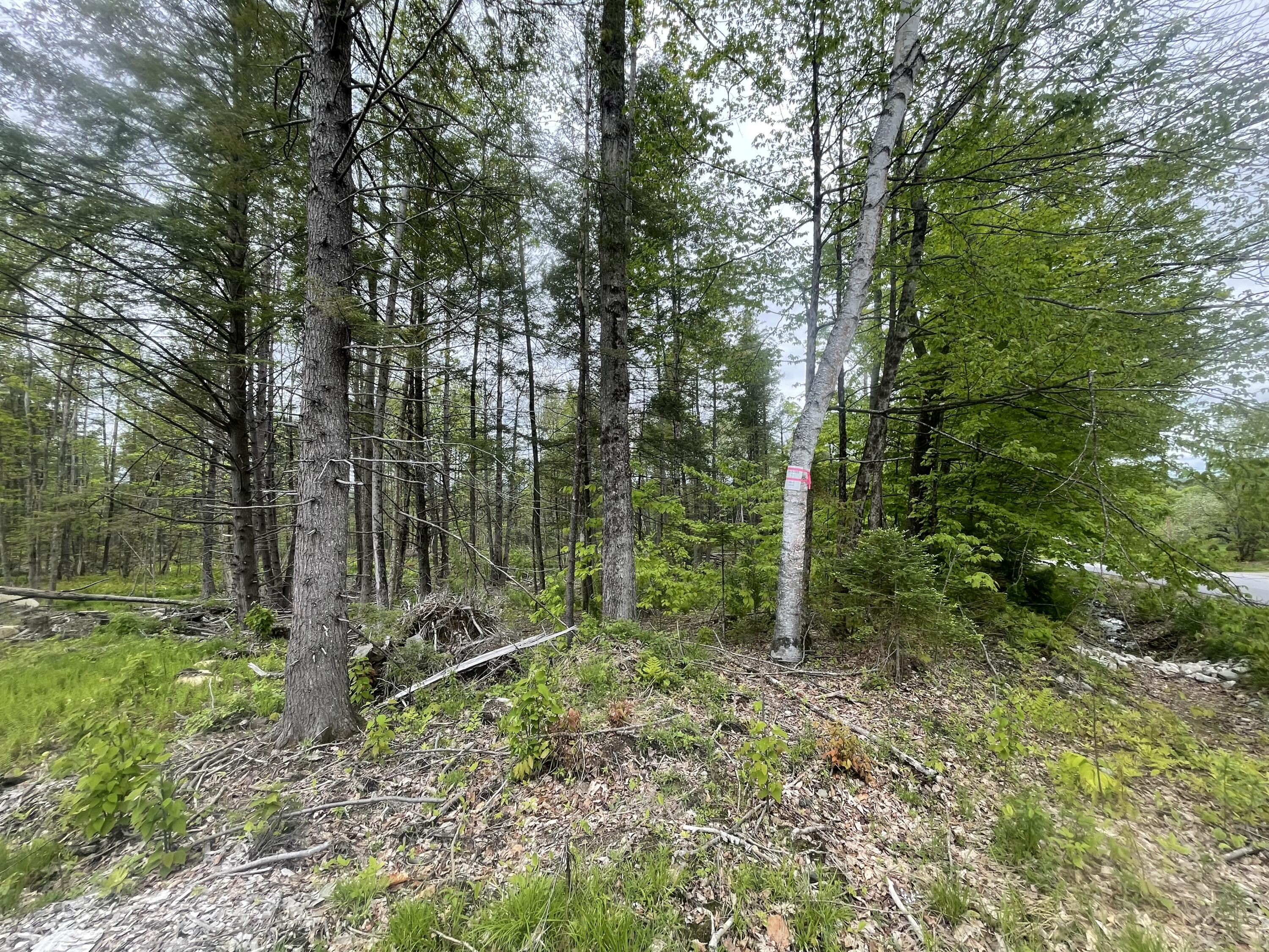 13a Zions Hill Road Chesterville, ME 04938 - Photo 10 of 14