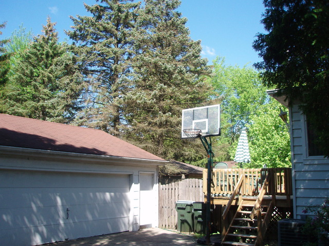 344 Nuttall Road Riverside, IL 60546 - Photo 25 of 25