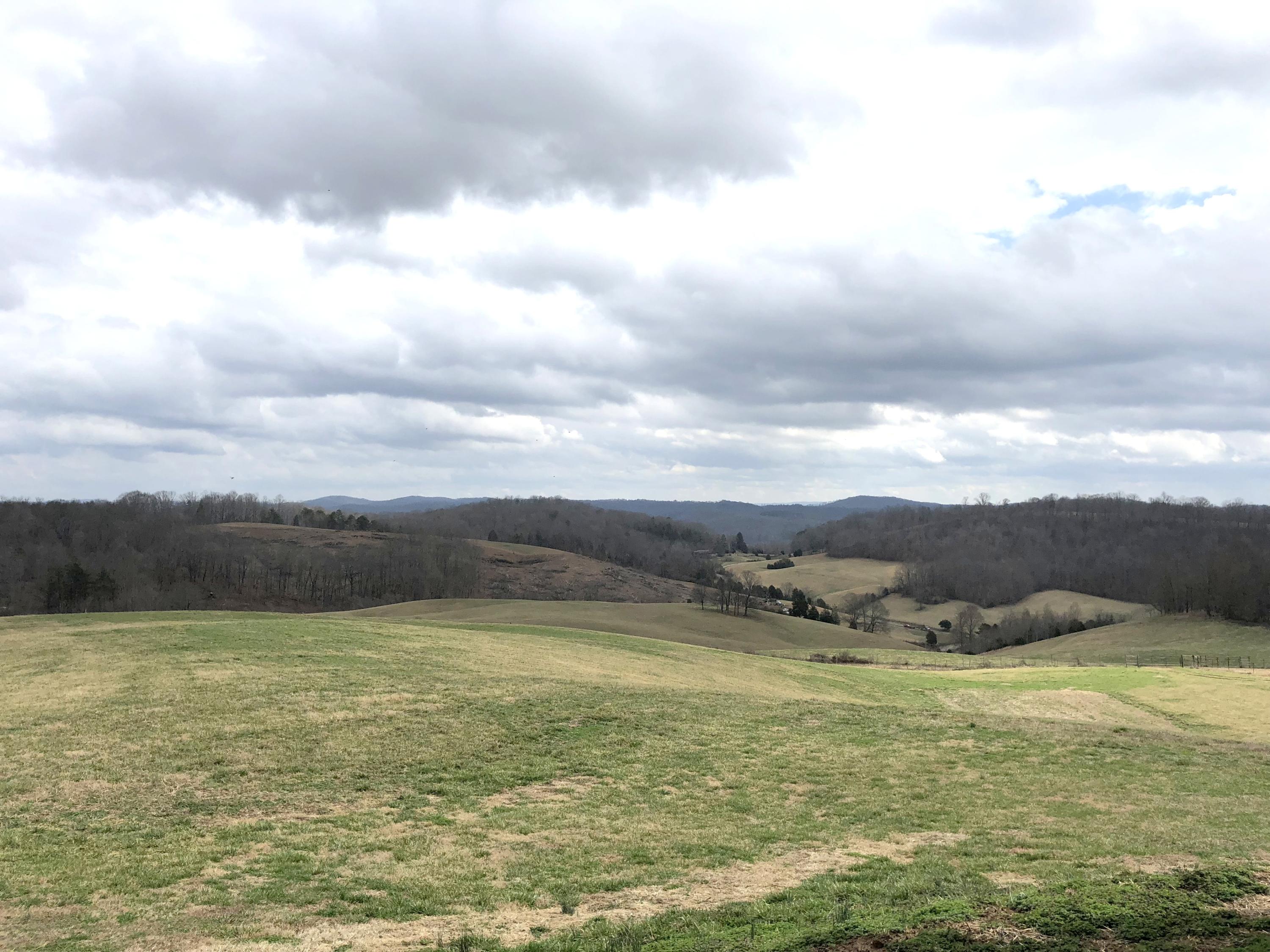 516 Parker Road La Follette, TN 37766 - Photo 2 of 28 Gorgeous Views