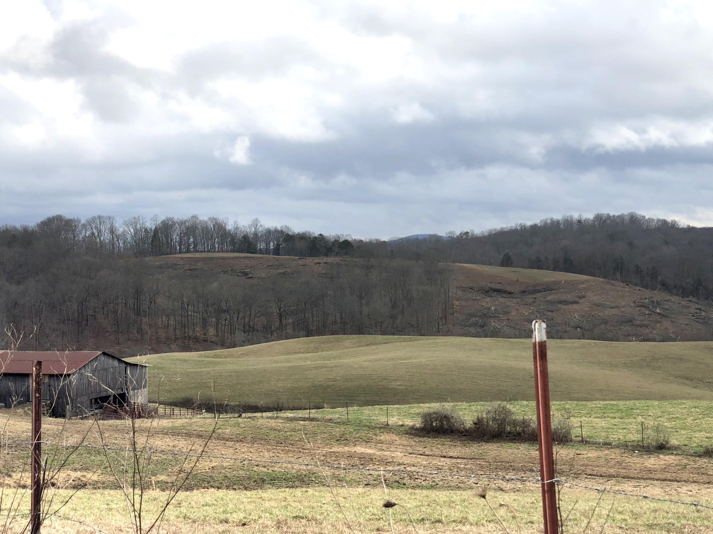 516 Parker Road La Follette, TN 37766 - Photo 15 of 28 IMG_3310