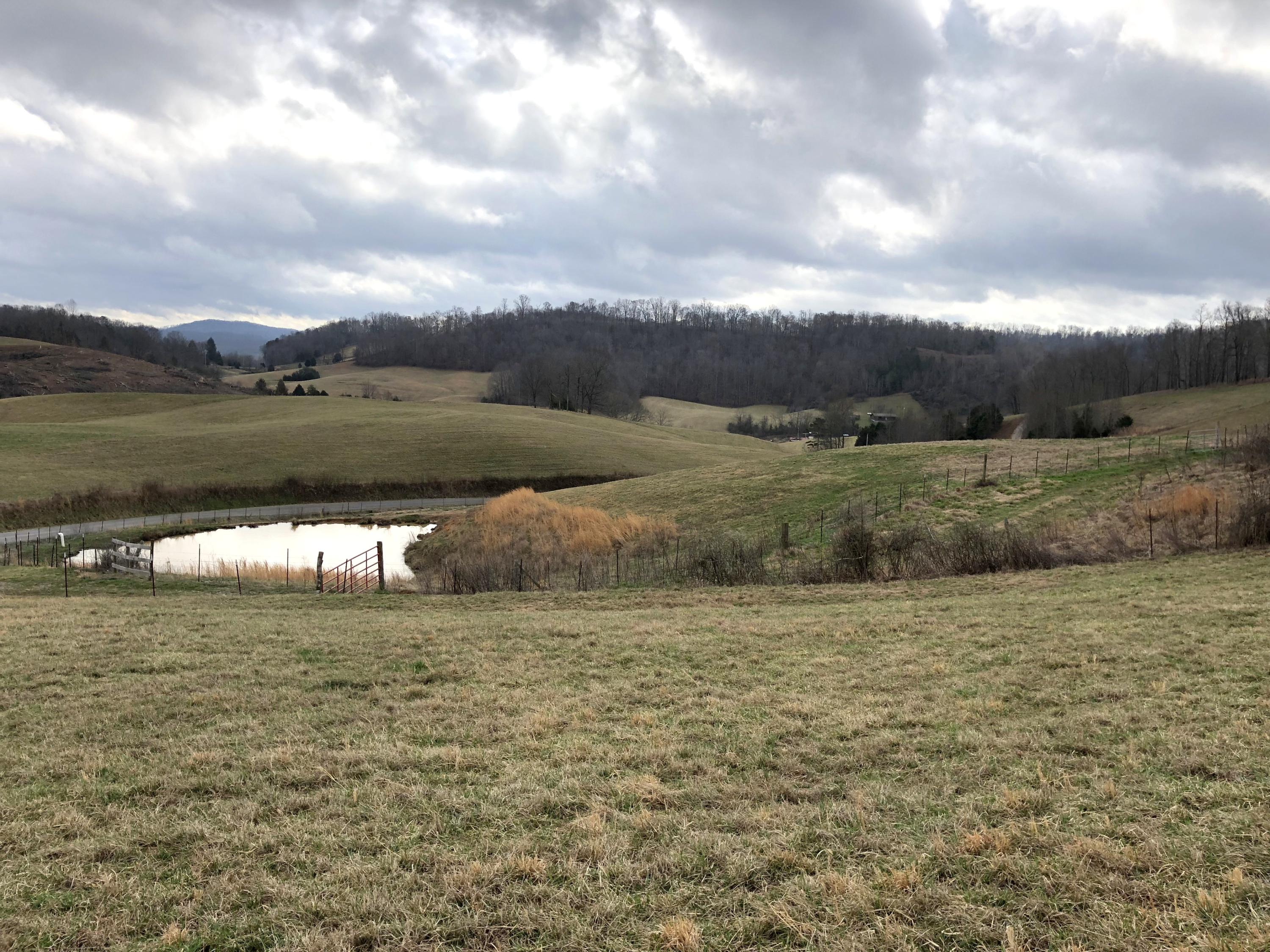 516 Parker Road La Follette, TN 37766 - Photo 17 of 28 IMG_3313