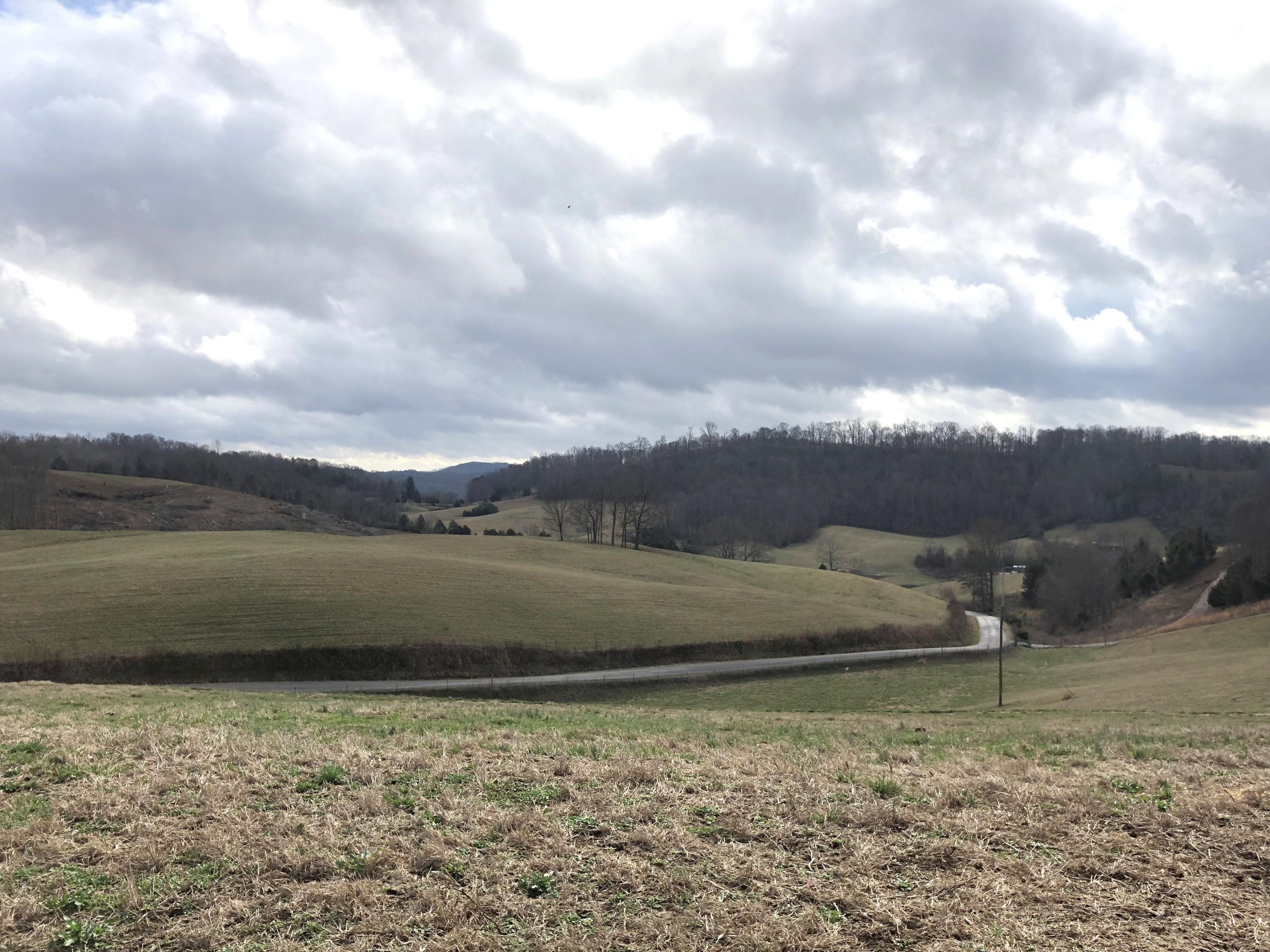 516 Parker Road La Follette, TN 37766 - Photo 18 of 28 IMG_3318