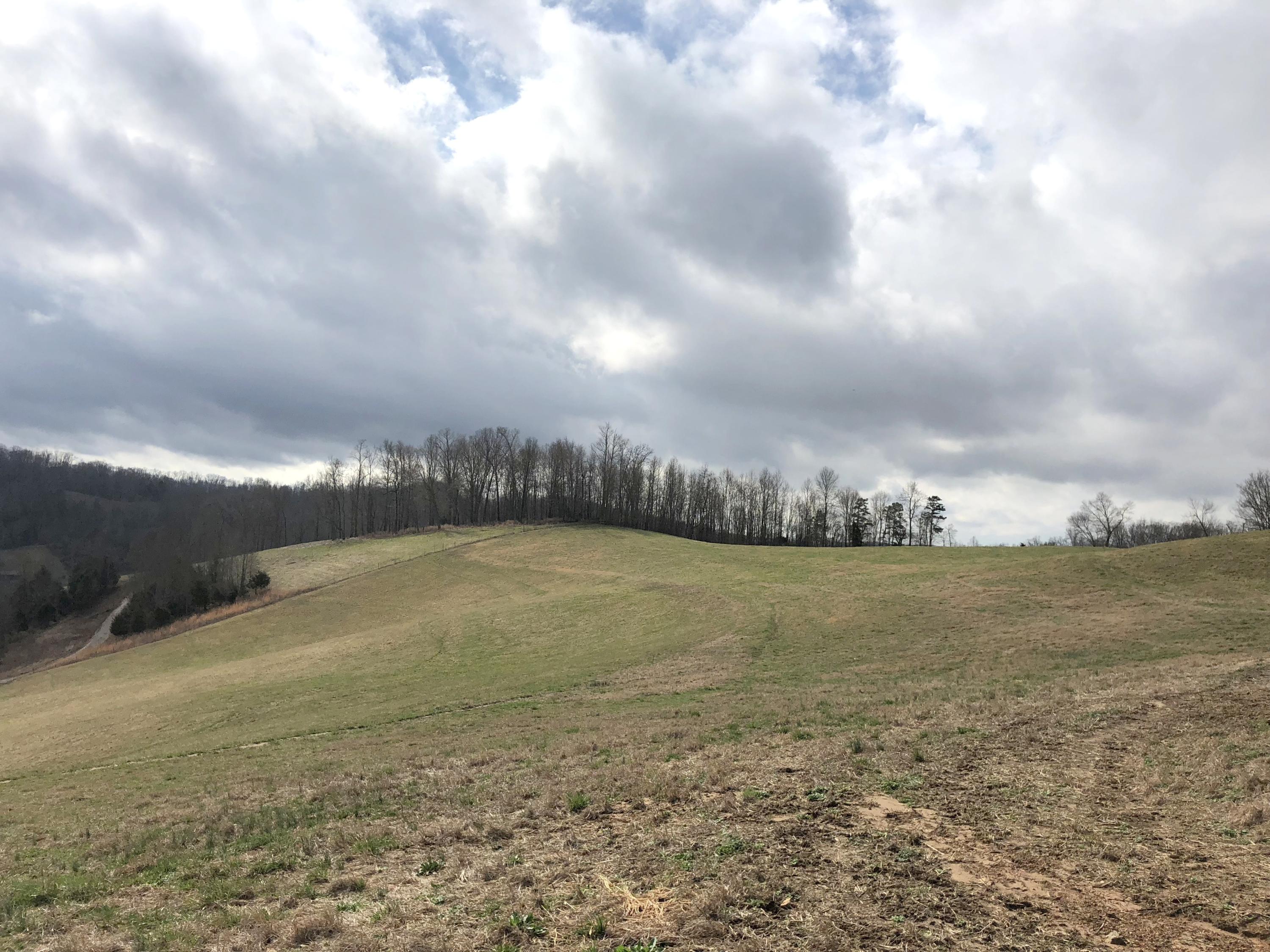 516 Parker Road La Follette, TN 37766 - Photo 19 of 28 IMG_3319