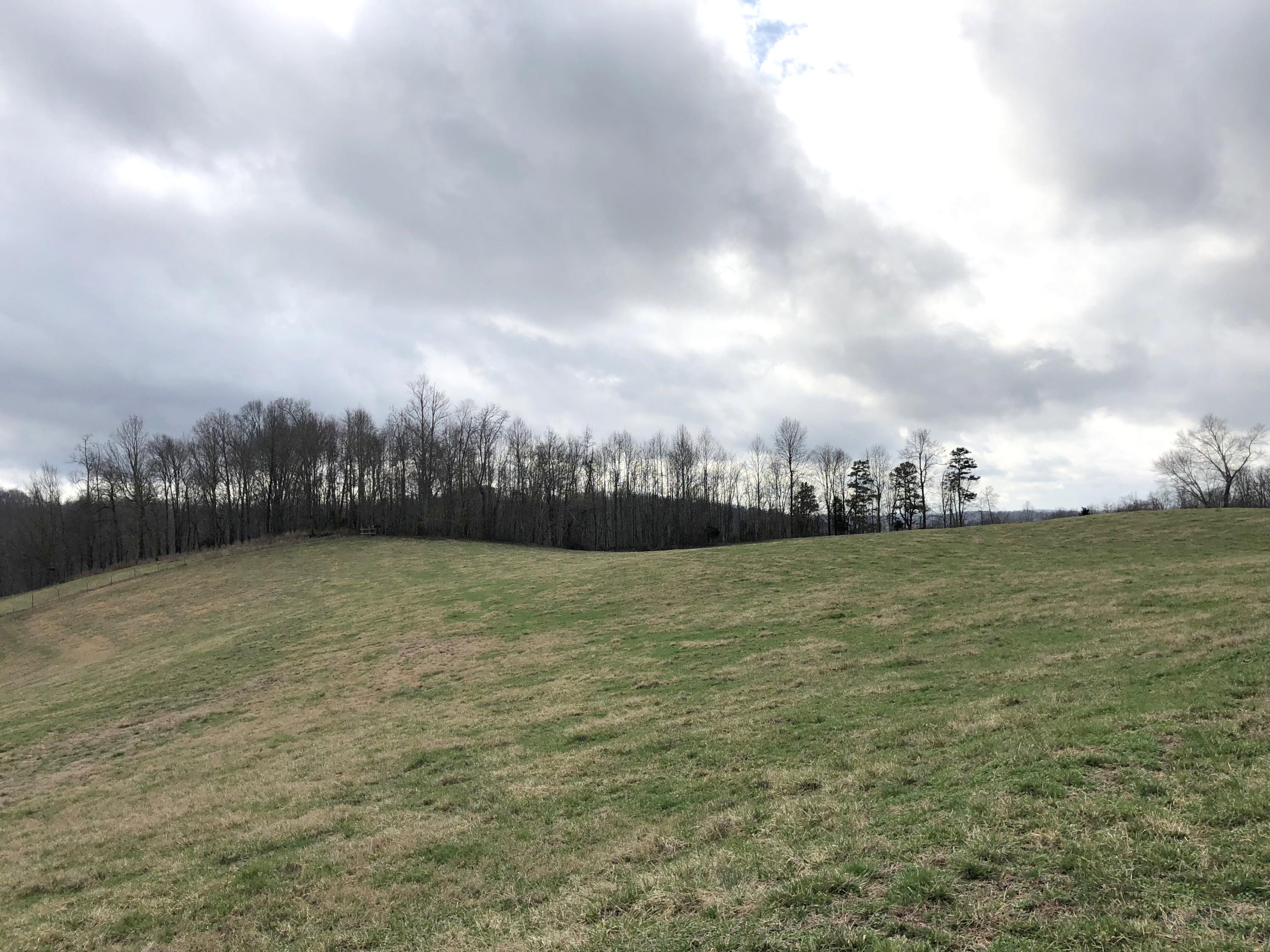 516 Parker Road La Follette, TN 37766 - Photo 20 of 28 IMG_3321