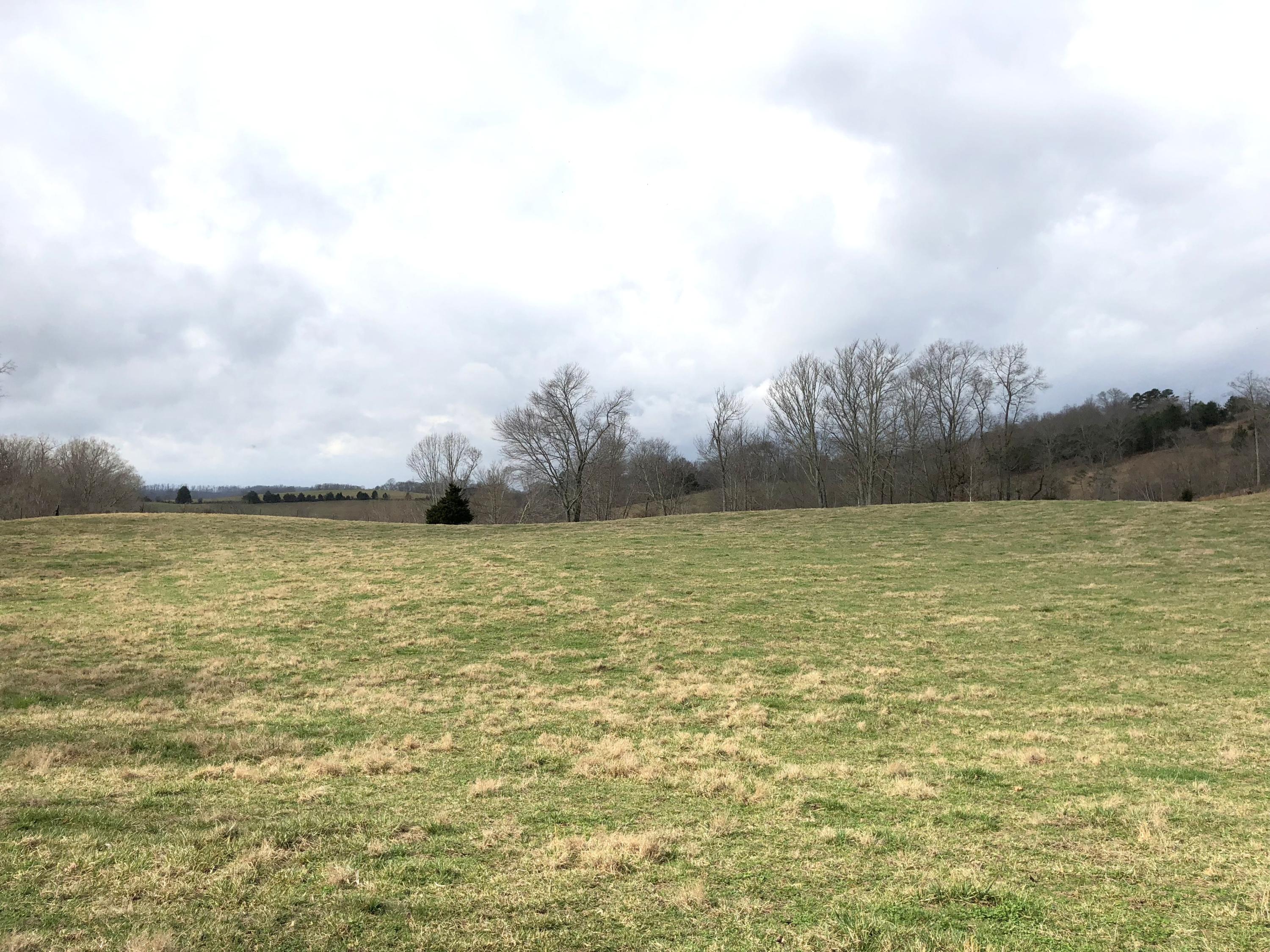 516 Parker Road La Follette, TN 37766 - Photo 21 of 28 IMG_3322