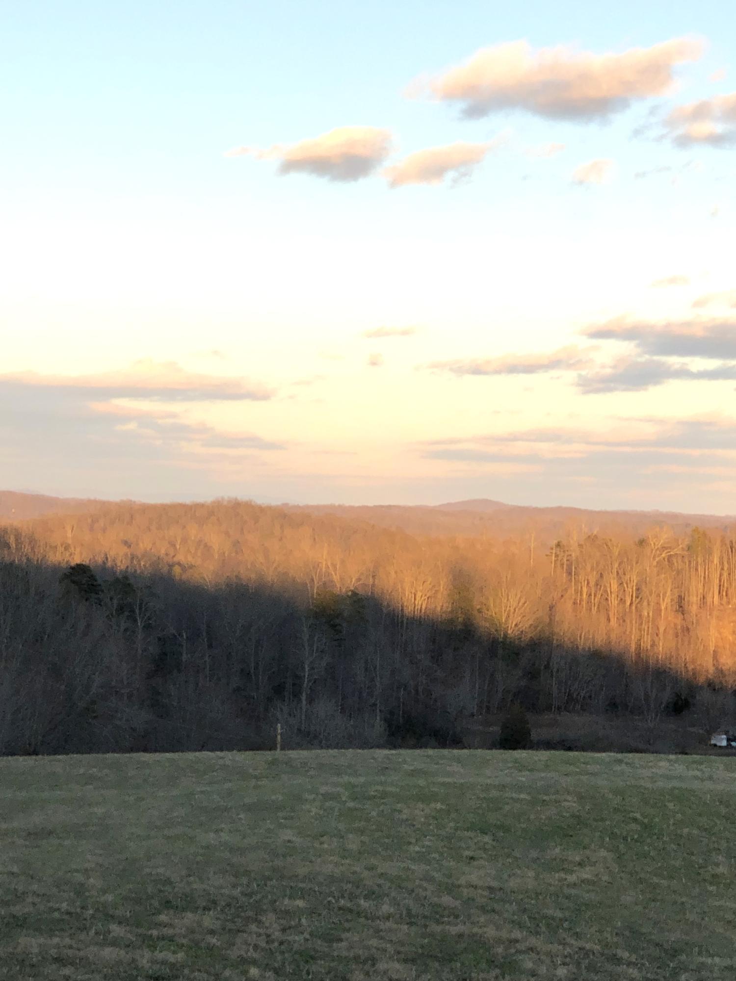 516 Parker Road La Follette, TN 37766 - Photo 26 of 28 IMG_9852