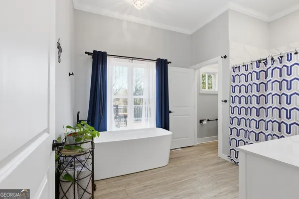 a living room with a furniture and a potted plant