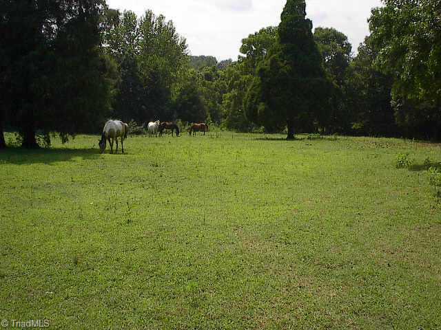 204 Vanzant Road Mocksville, NC 27028 - Photo 8 of 9 Other. Great for horses