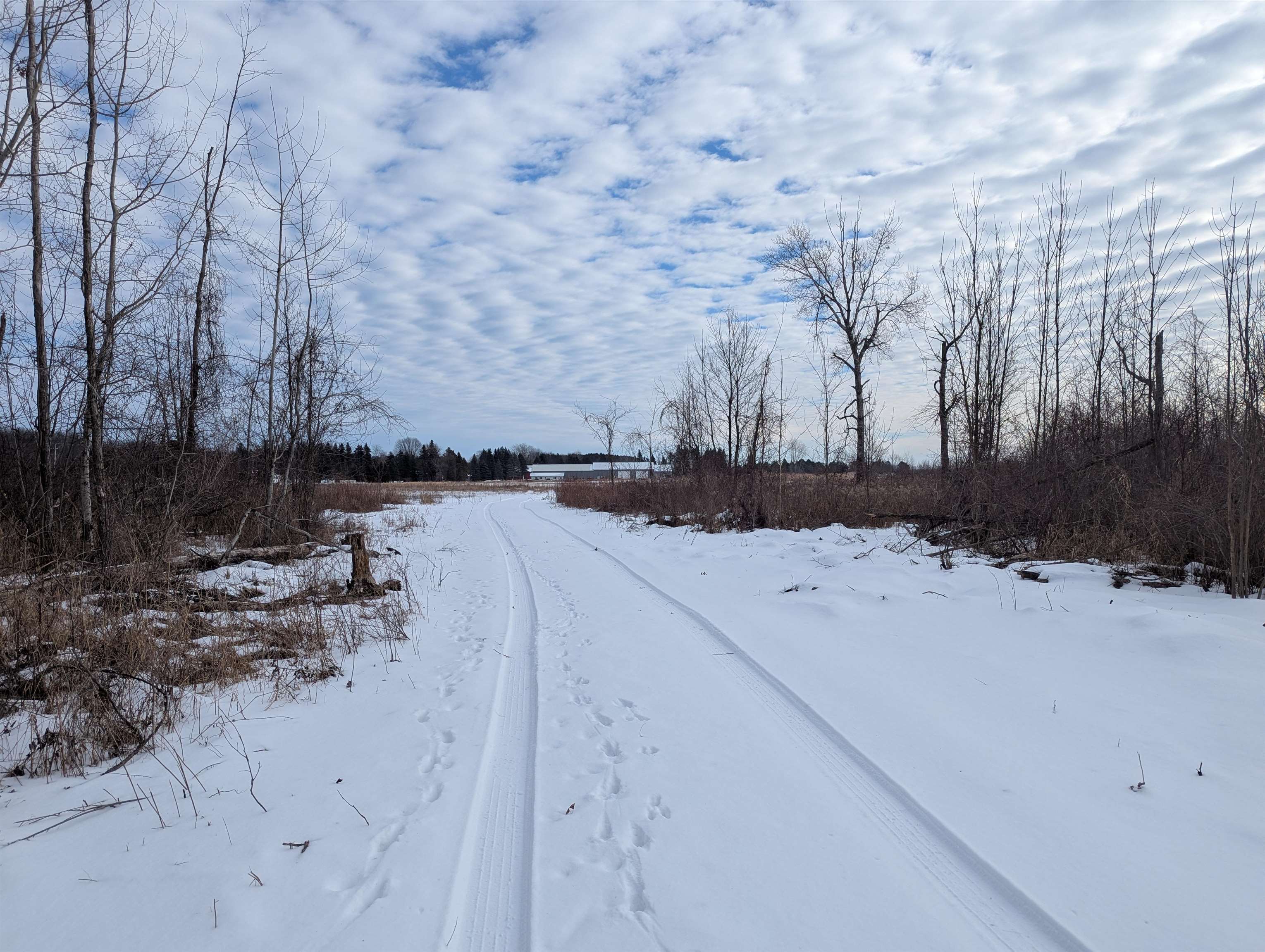 N/a Swenson Road Au Gres, MI 48703 - Photo 2 of 15