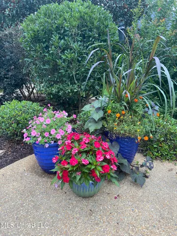 $559,000 | 15384 South S Highway, Terry, MS 39170