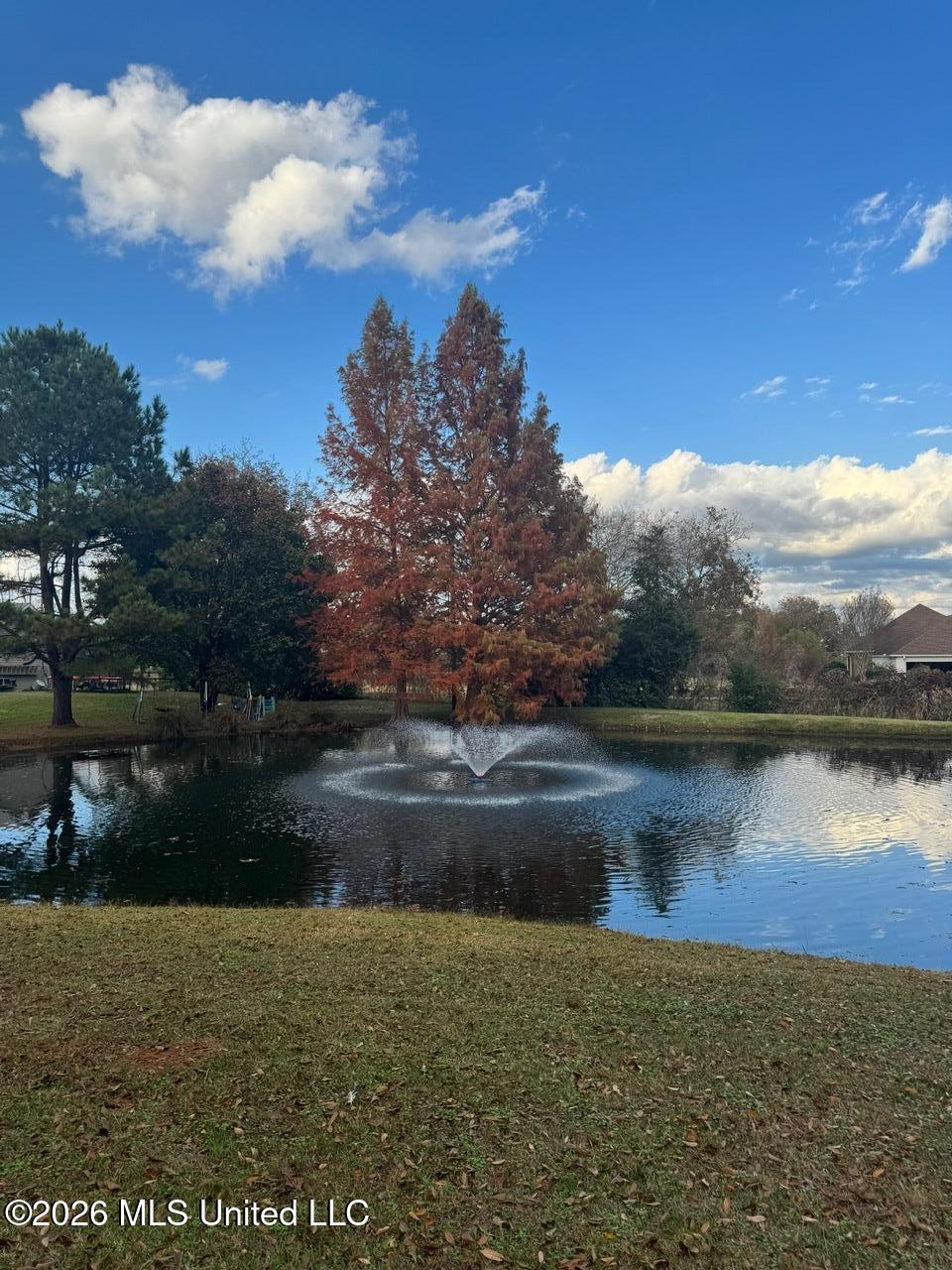 15384 South S Highway Terry, MS 39170 - Photo 61 of 79 IMG_3733