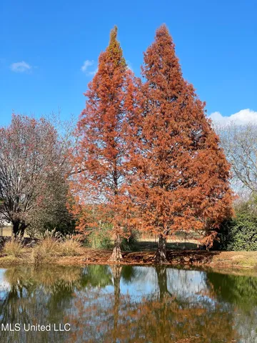 $559,000 | 15384 South S Highway, Terry, MS 39170