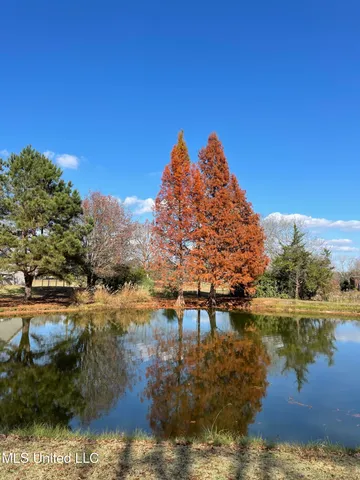 $559,000 | 15384 South S Highway, Terry, MS 39170