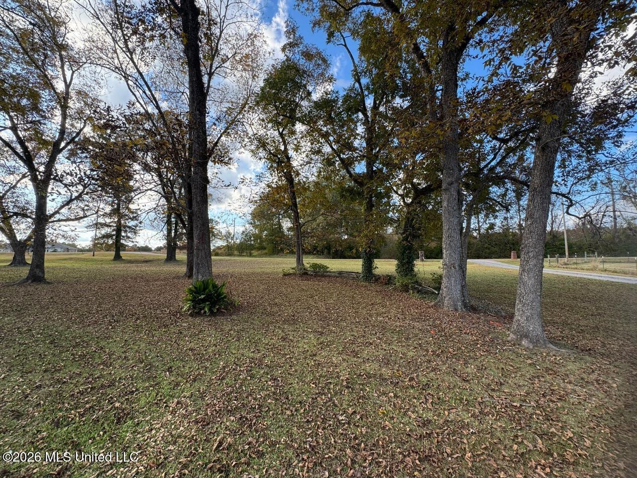 15384 South S Highway Terry, MS 39170 - Photo 74 of 79 IMG_3723