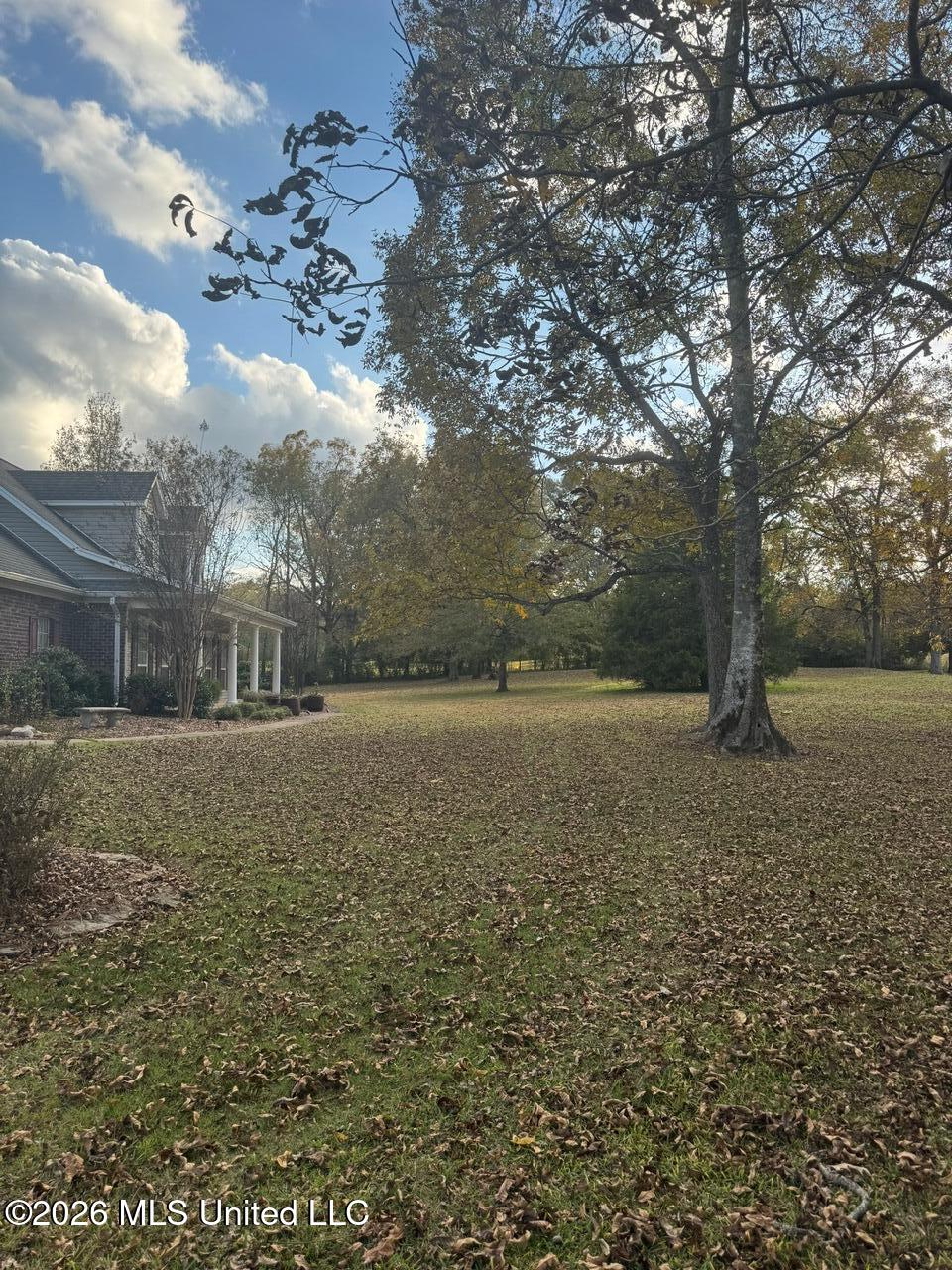 15384 South S Highway Terry, MS 39170 - Photo 77 of 79 IMG_3725