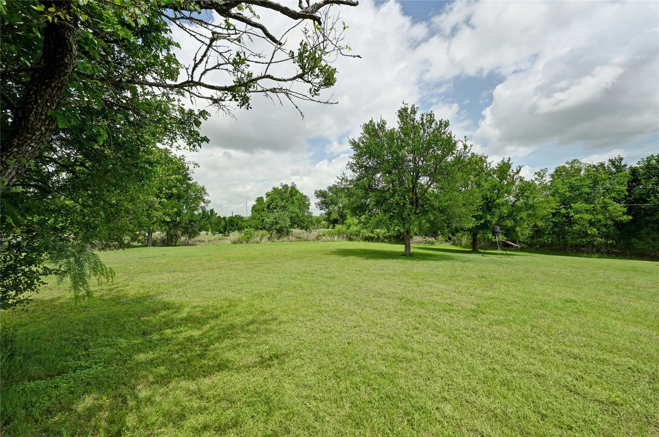 1700 Tanner Loop Taylor, TX 76574 - Photo 14 of 32 Expansive green space featuring a large grassy area, mature trees providing natural shade, and additional tree lines at the perimeter