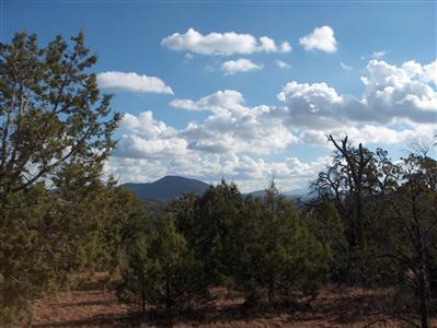 567 West Flushing Quail Road Williams, AZ 86046 - Photo 1 of 9 Primary Photo