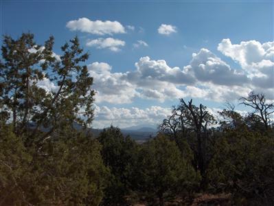 567 West Flushing Quail Road Williams, AZ 86046 - Photo 2 of 9 Additional Photo
