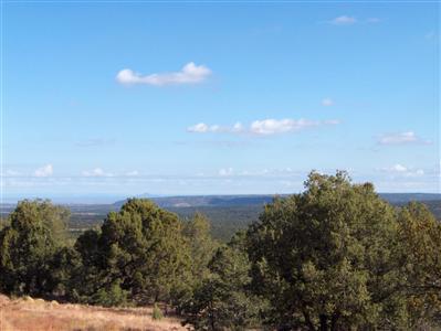 567 West Flushing Quail Road Williams, AZ 86046 - Photo 3 of 9 Additional Photo