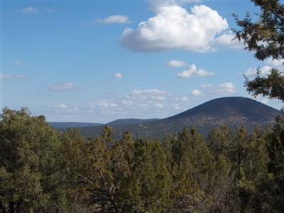 567 West Flushing Quail Road Williams, AZ 86046 - Photo 4 of 9 Additional Photo