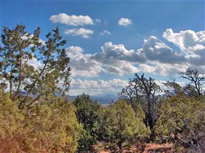 567 West Flushing Quail Road Williams, AZ 86046 - Photo 5 of 9 Additional Photo