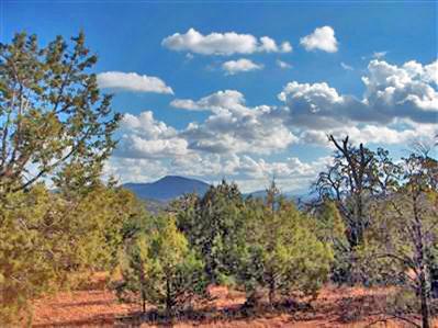 567 West Flushing Quail Road Williams, AZ 86046 - Photo 8 of 9 Additional Photo