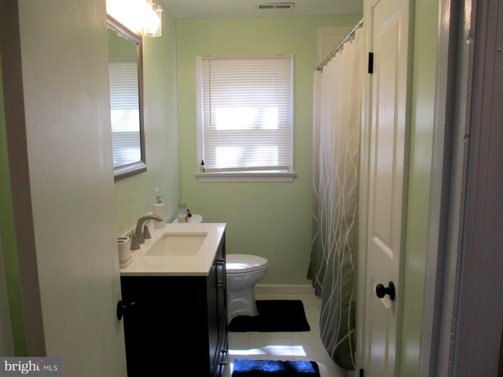 25241 Porters Grove Road Worton, MD 21678 - Photo 15 of 22 a bathroom with a sink toilet and shower