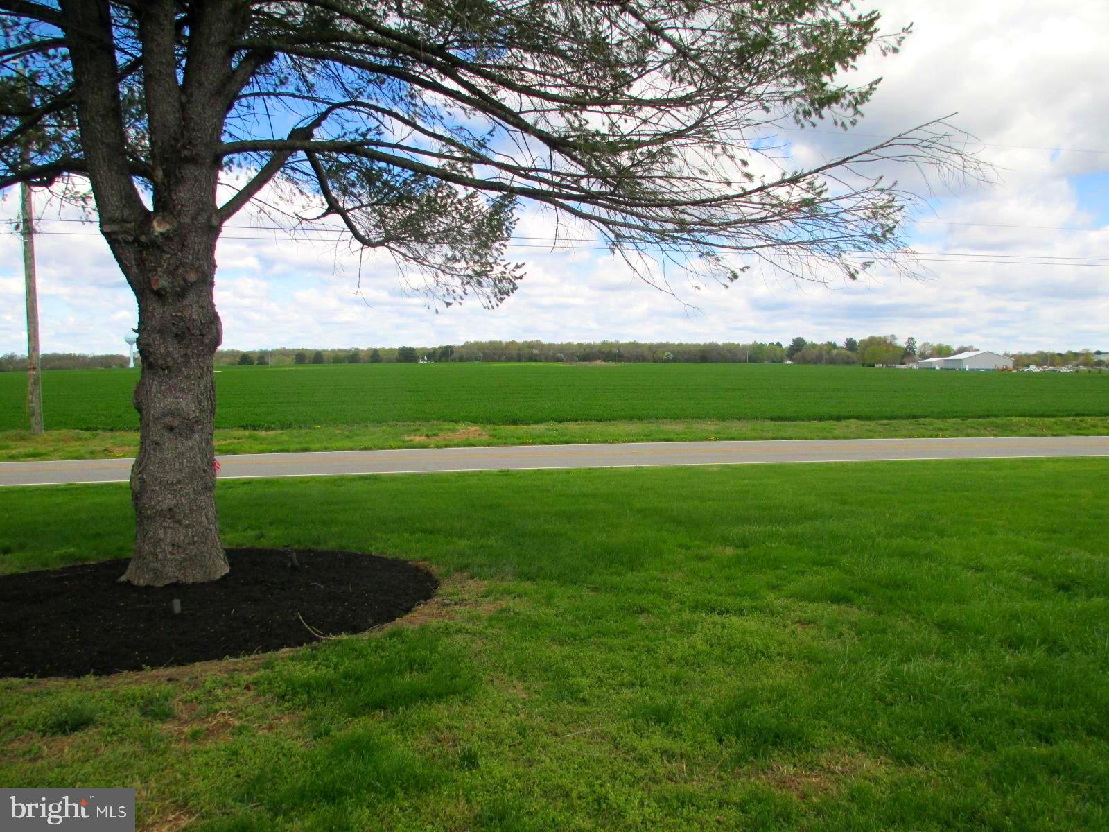 25241 Porters Grove Road Worton, MD 21678 - Photo 20 of 22 a view of a yard with large trees