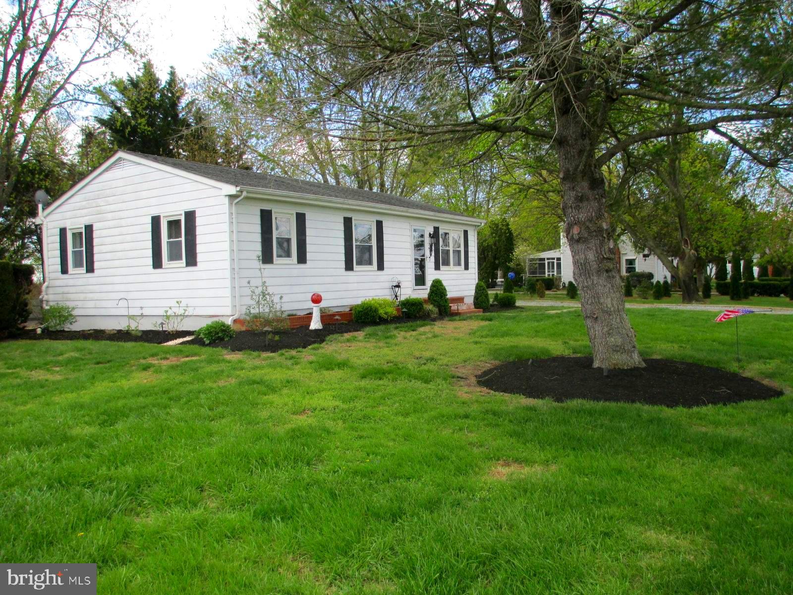 25241 Porters Grove Road Worton, MD 21678 - Photo 5 of 22 a front view of house with yard and green space