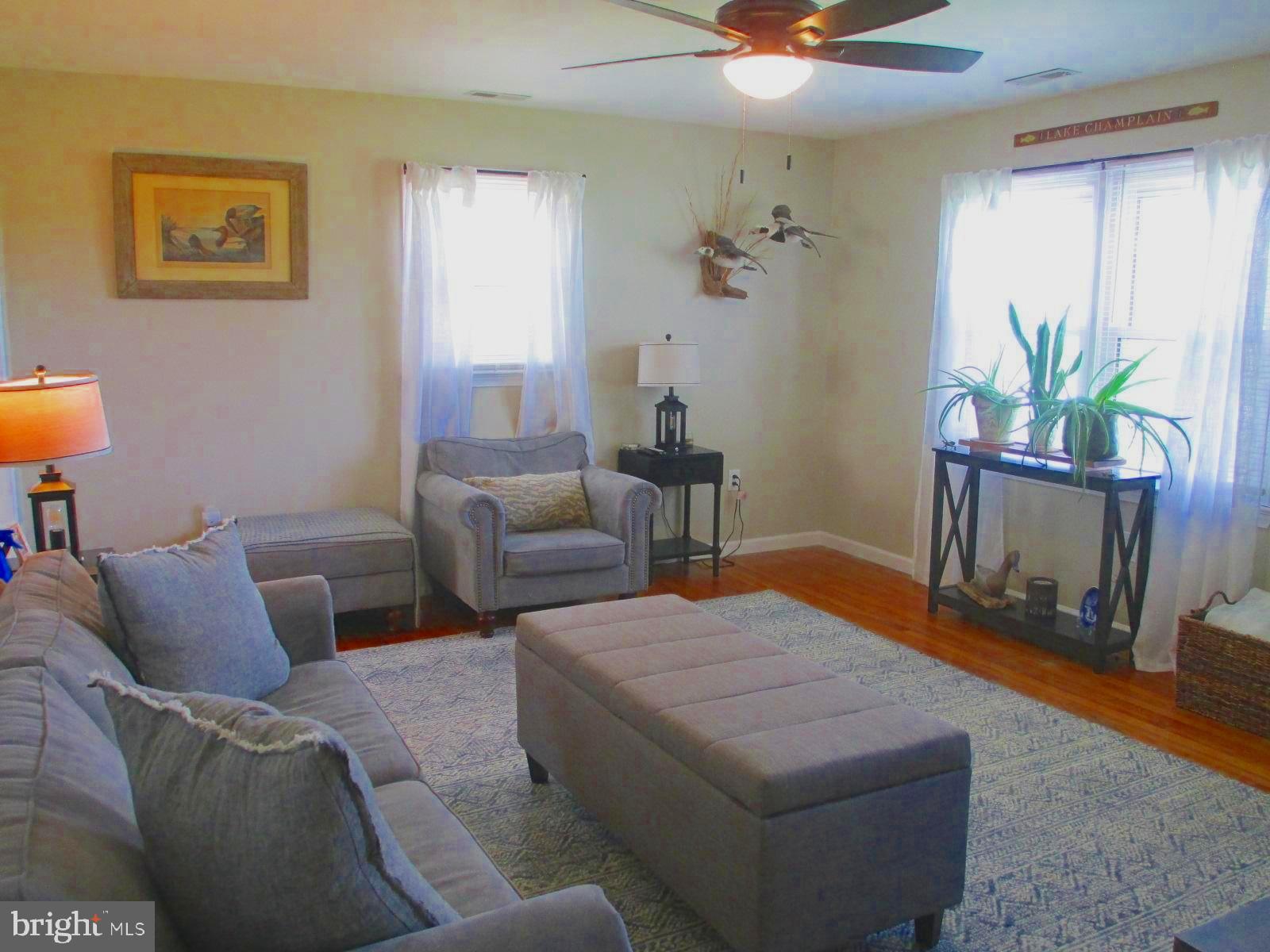25241 Porters Grove Road Worton, MD 21678 - Photo 8 of 22 a living room with furniture and a potted plant