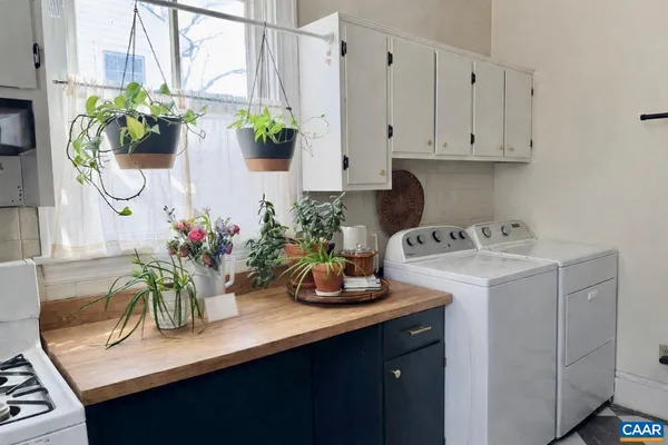 a kitchen with a sink a potted plant and cabinets