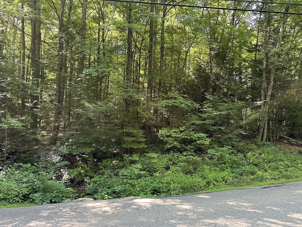 72 Wire Village Road Spencer, MA 01562 - Photo 3 of 3 a view of a forest with a street