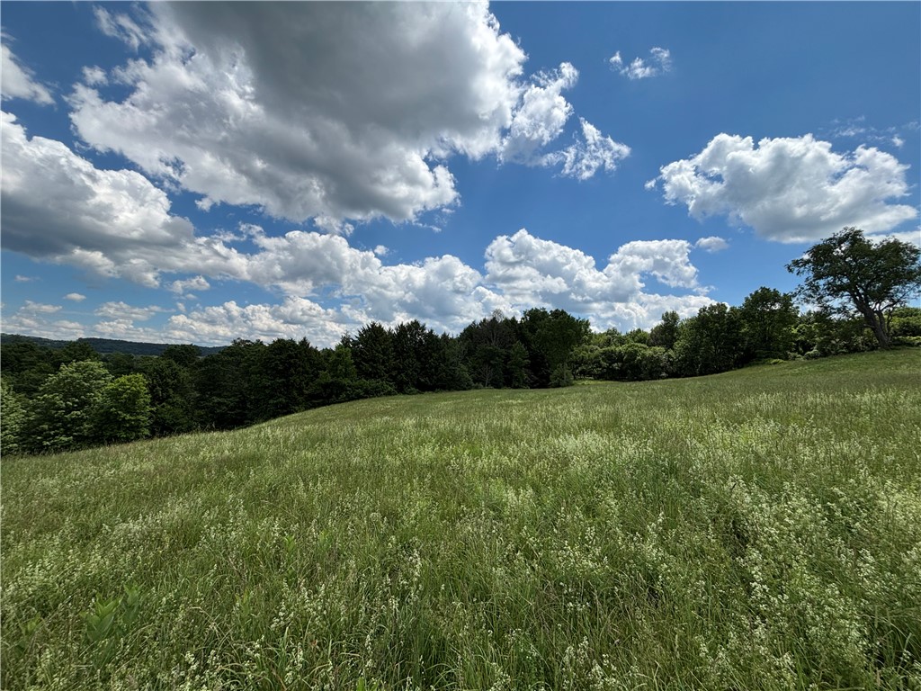 1267 Gorton Road Hamilton, NY 13332 - Photo 24 of 42