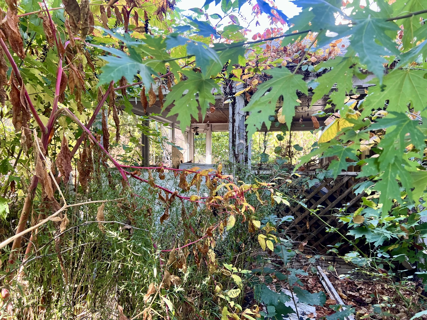 202 Clark Street Sidell, IL 61876 - Photo 16 of 17 a backyard of a house
